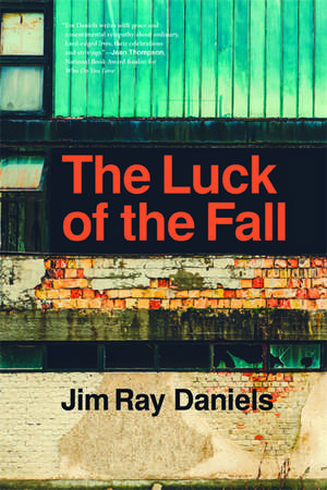 The Luck of the Fall de Jim Ray Daniels