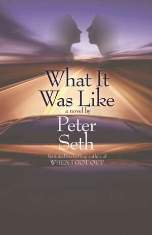 WHAT IT WAS LIKE NOVEL LOVE CONSEQUENCE de Peter Seth