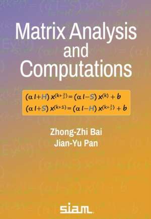 Matrix Analysis and Computations de Jian-Yu Pan