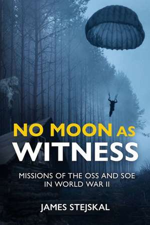 No Moon as Witness de James Stejskal