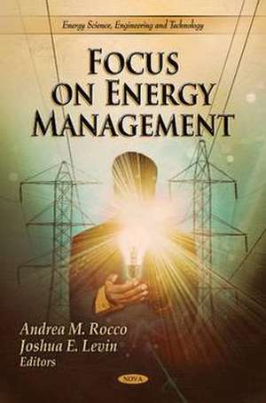 Focus on Energy Management de Andrea M. Rocco