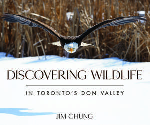 Discovering Wildlife in Toronto's Don Valley de Jim Chung