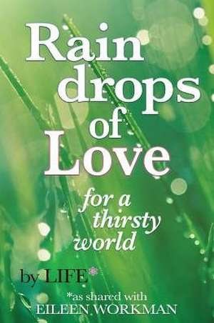 Raindrops of Love for A Thirsty World de Eileen Workman