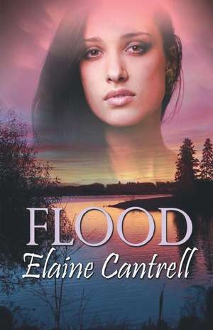 Flood de Elaine Cantrell