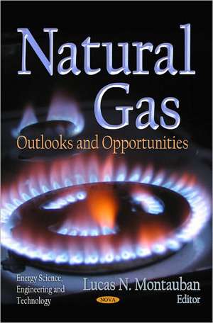 Natural Gas de Lucas N. Montauban