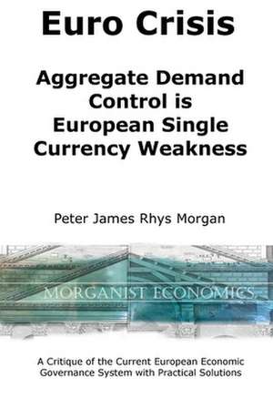 Euro Crisis Aggregate Demand Control is European Single Currency Weakness de Peter James Rhys Morgan