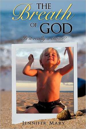 The Breath of God: Pray and Laugh Daily de Jennifer Mary