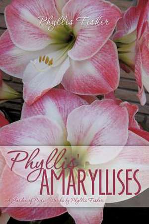 Phyllis' Amaryllises de Phyllis Fisher