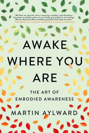 Awake Where You Are de Martin Aylward