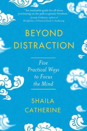 Beyond Distraction de Shaila Catherine