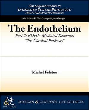 The Endothelium, Part II de Michel F. L. Tou