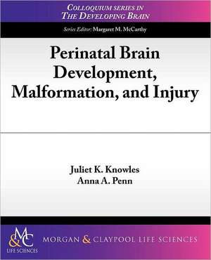 Perinatal Brain Development, Malformation, and Injury de Juliet K. Knowles