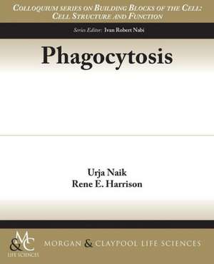 Phagocytosis de Urja Naik