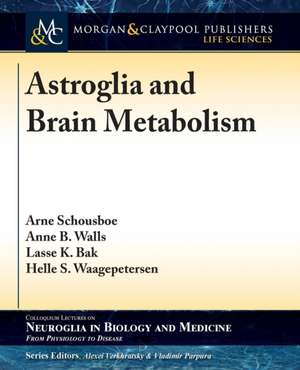 Astroglia and Brain Metabolism de Arne Schousboe