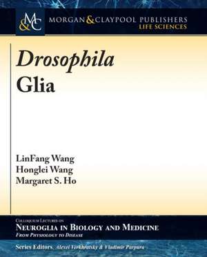 Drosophila Glia de Linfang Wang