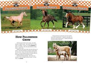 Checkerboard Animal Library: Horses, Set 1 de BreAnn Rumsch