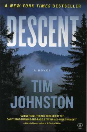 Descent de Tim Johnston