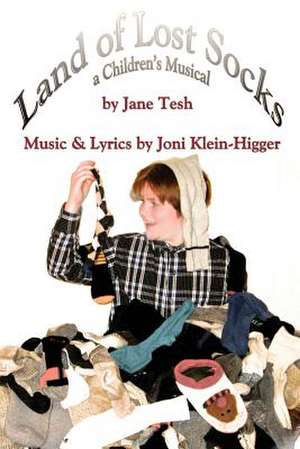 Land of Lost Socks de Jane Tesh