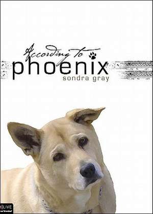 According to Phoenix de Sondra Gray