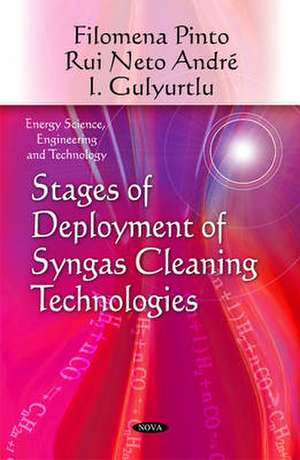 Stages of Deployment of Syngas Cleaning Technologies de Rui Neto Andre