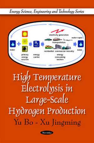 High Temperature Electrolysis in Large-Scale Hydrogen Production de Yu Bo