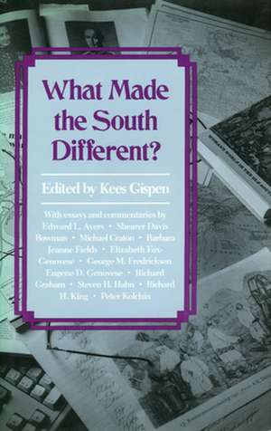 What Made the South Different? de Kees Gispen