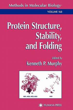 Protein Structure, Stability, and Folding de Kenneth P Murphy