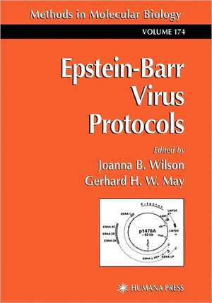 Epstein-Barr Virus Protocols de Joanna B. Wilson