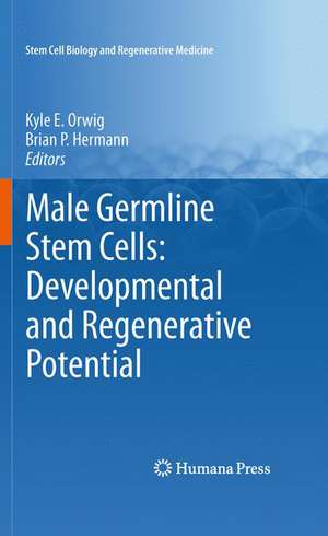 Male Germline Stem Cells: Developmental and Regenerative Potential de Kyle E. Orwig