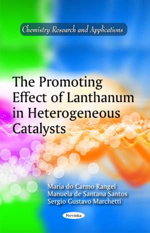 The Promoting Effect of Lanthanum in Heterogeneous Catalysts de Maria do Carmo Rangel