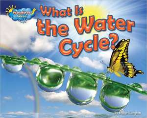 What Is the Water Cycle? de Ellen Lawrence