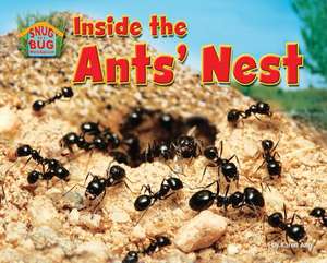 Inside the Ants' Nest de Karen Ang