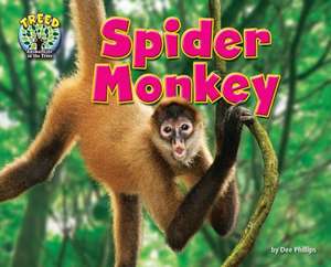 Spider Monkey de Dee Phillips