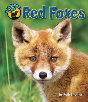 Red Foxes de Ruth Strother