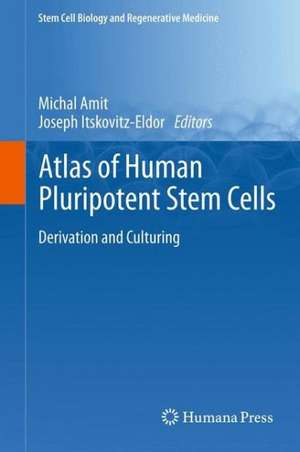 Atlas of Human Pluripotent Stem Cells: Derivation and Culturing de Michal Amit