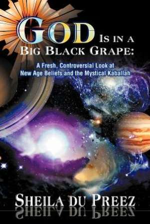 God Is in a Big Black Grape de Sheila Du Preez