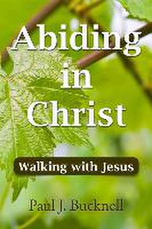 Abiding in Christ: Walking with Jesus de Paul J. Bucknell