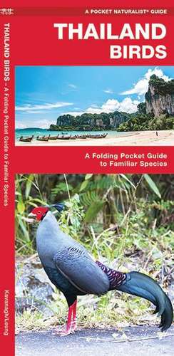 Thailand Birds: A Folding Pocket Guide to Familiar Species de Waterford Press