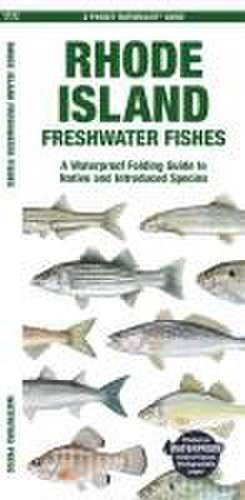 Rhode Island Freshwater Fishes de Matthew Morris