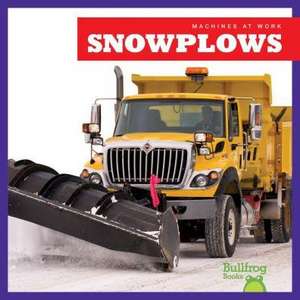 Snowplows de Cari Meister