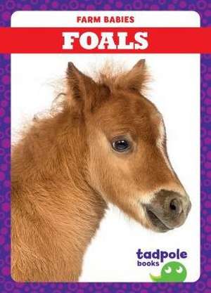 Foals de Tim Mayerling