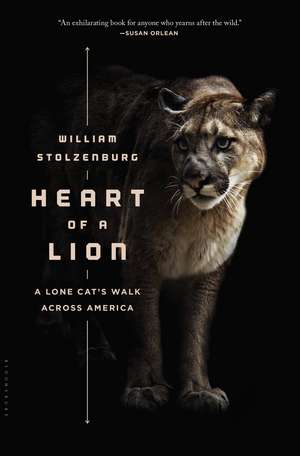 Heart of a Lion: A Lone Cat’s Walk Across America de William Stolzenburg