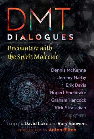 DMT Dialogues: Encounters with the Spirit Molecule de David Luke