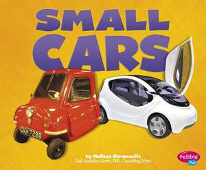 Small Cars de Barbara Alpert