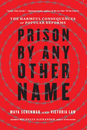 Prison by Any Other Name de Victoria Law