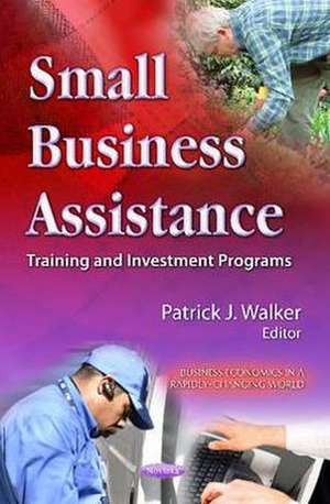 Small Business Assistance de Patrick J. Walker