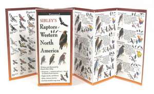 Sibley's Raptors of Western North America: Prevent Haters, Trolls and Toxic People from Poisoning Your Life de David Allen Sibley