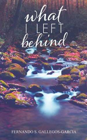 What I Left Behind de Fernando S. Gallegos-Garcia