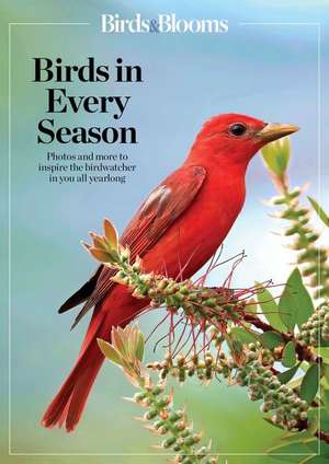 Birds & Blooms Birds in Every Season de Birds & Blooms