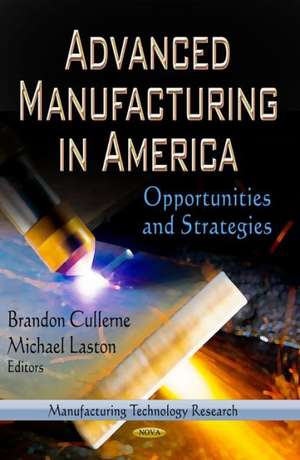 Advanced Manufacturing in America de Brandon Cullerne